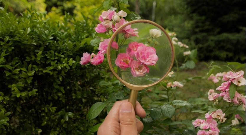 a person holding a magnifying glass with pink flowers